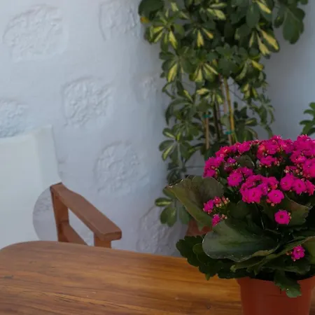 Apartamento Pansion Katerina Skala