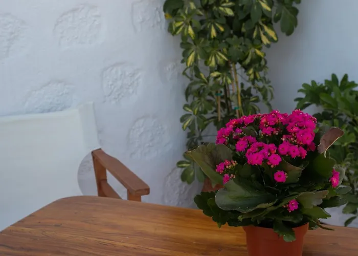 شقة Pansion Katerina سكالا